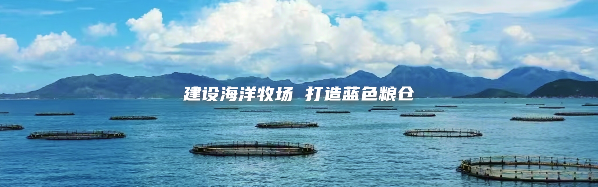 建設(shè)海洋收?qǐng)?打造藍(lán)色糧倉(cāng)