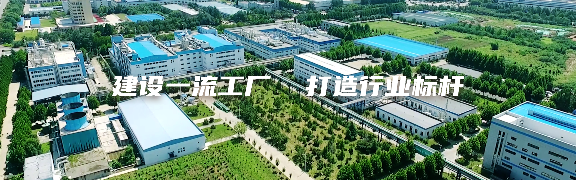 畜牧業(yè)勝利生物：建設(shè)一流企業(yè) 打造一流工廠(chǎng)